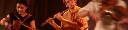 Musicien folk.jpg